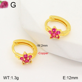 F2E401786vbpb-J147  Fashion Copper Earrings