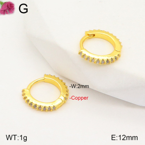 F2E401819bbov-J147  Fashion Copper Earrings