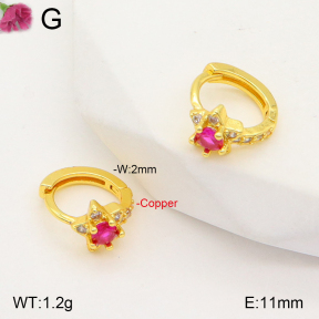 F2E401825vbpb-J147  Fashion Copper Earrings