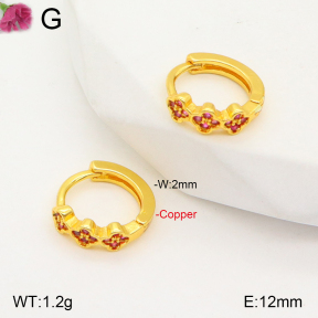 F2E401833vbpb-J147  Fashion Copper Earrings