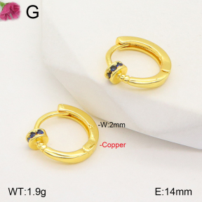 F2E401850vbpb-J147  Fashion Copper Earrings