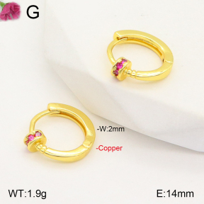 F2E401851vbpb-J147  Fashion Copper Earrings