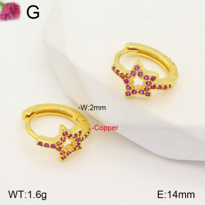 F2E401863vbpb-J147  Fashion Copper Earrings