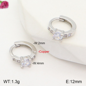 F2E401886vbpb-J147  Fashion Copper Earrings