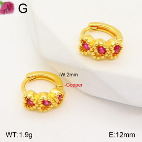 F2E401895vbpb-J147  Fashion Copper Earrings