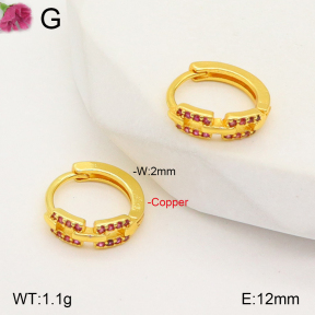 F2E401914vbpb-J147  Fashion Copper Earrings