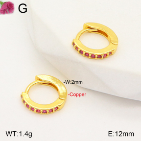 F2E401919vbpb-J147  Fashion Copper Earrings