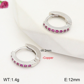 F2E401922vbpb-J147  Fashion Copper Earrings
