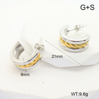 GEE002365vhha-066  Handmade Polished  Stainless Steel Earrings  nostock