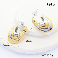 GEE002368ahjb-066  Handmade Polished  Stainless Steel Earrings  nostock