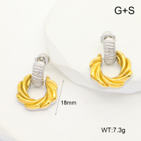 GEE002389bhia-066  Handmade Polished  Stainless Steel Earrings  nostock