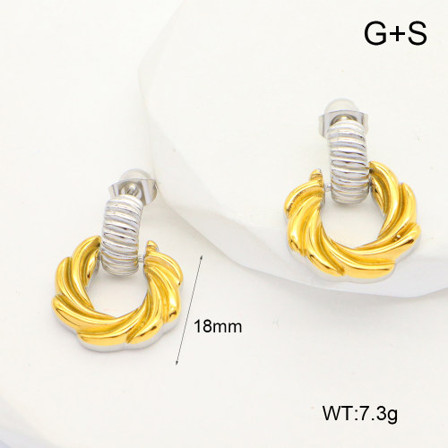 GEE002389bhia-066  Handmade Polished  Stainless Steel Earrings  nostock