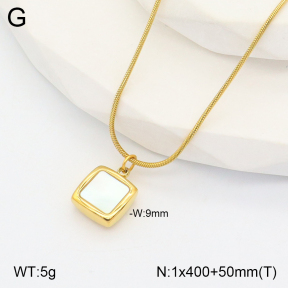 2N3002169bhva-263  Stainless Steel Necklace  PVD 15k