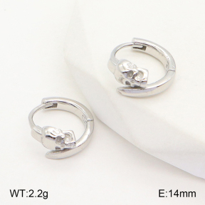 2E2005139vbnl-253  Stainless Steel Earrings