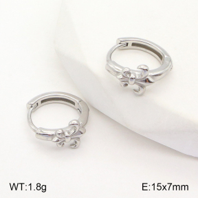 2E2005141vbnl-253  Stainless Steel Earrings