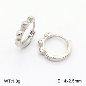 2E2005144vbnl-253  Stainless Steel Earrings