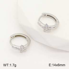 2E2005146vbnl-253  Stainless Steel Earrings