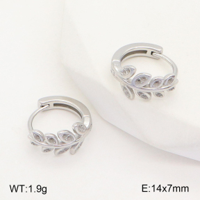 2E2005147vbnl-253  Stainless Steel Earrings