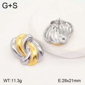 2E2005156bbov-434  Stainless Steel Earrings