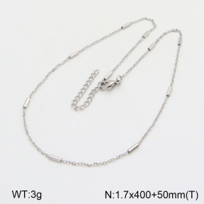 2N2004996avja-368  Stainless Steel Necklace