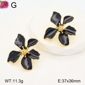 F2E300744vbnl-K53  Fashion Earrings