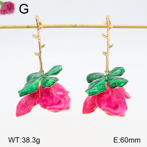 F2E300757bhva-K53  Fashion Earrings