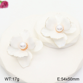 F2E300772bhva-K53  Fashion Earrings