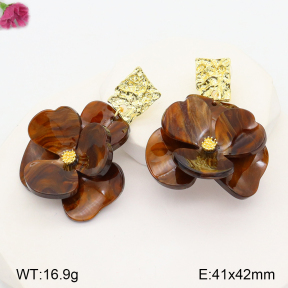 F2E300775vbnl-K53  Fashion Earrings