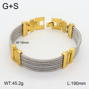 2B2003312vhmv-455  Stainless Steel Bracelet