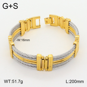 2B2003316vhmv-455  Stainless Steel Bracelet