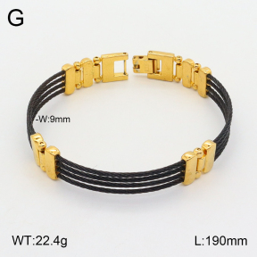 2B2003323bhia-455  Stainless Steel Bracelet