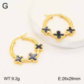 2E3002920aakl-446  Stainless Steel Earrings