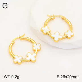 2E3002921aakl-446  Stainless Steel Earrings