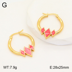 2E3002922aakl-446  Stainless Steel Earrings