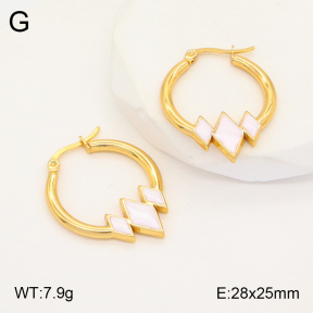 2E3002923aakl-446  Stainless Steel Earrings