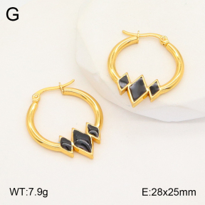 2E3002924aakl-446  Stainless Steel Earrings