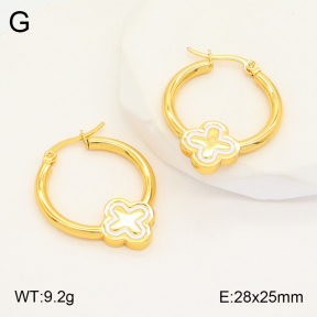 2E3002925aakl-446  Stainless Steel Earrings