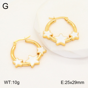 2E3002928aakl-446  Stainless Steel Earrings