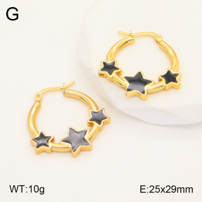 2E3002929aakl-446  Stainless Steel Earrings