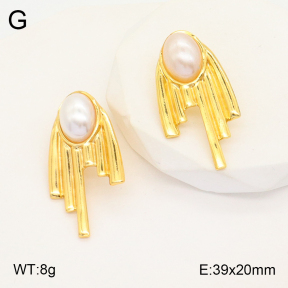 2E3002937aajo-446  Stainless Steel Earrings