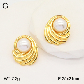 2E3002939aajo-446  Stainless Steel Earrings