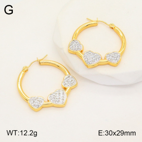 2E4003987aakl-446  Stainless Steel Earrings