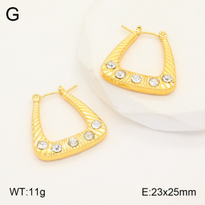 2E4003988aakl-446  Stainless Steel Earrings