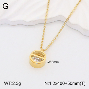 2N4003443bbov-721  Stainless Steel Necklace