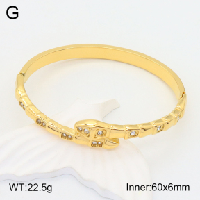 2BA401898ahjb-434  Stainless Steel Bangle