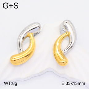 2E2005186vbpb-434  Stainless Steel Earrings