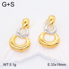 2E2005187bbml-434  Stainless Steel Earrings