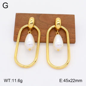 2E3002953vbnl-434  Stainless Steel Earrings