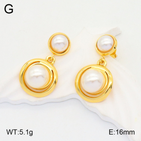 2E3002959vbll-434  Stainless Steel Earrings