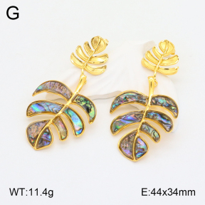 2E3002961bhil-434  Stainless Steel Earrings